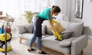 Sofa Cleaning