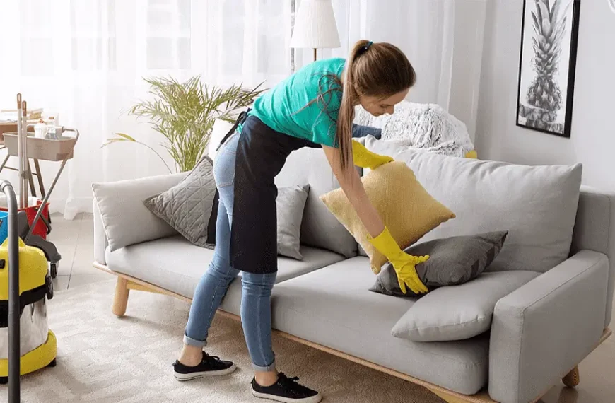 Sofa Cleaning